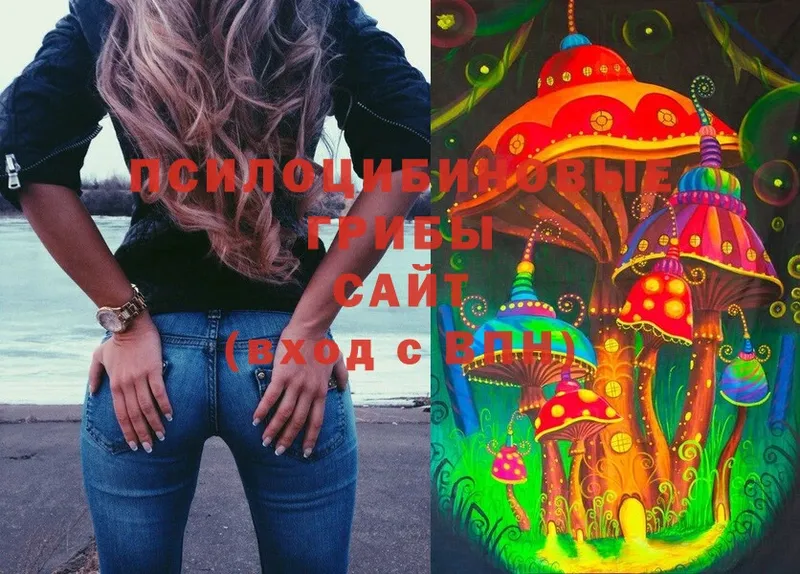 Галлюциногенные грибы MAGIC MUSHROOMS  купить наркотики цена  Покров 